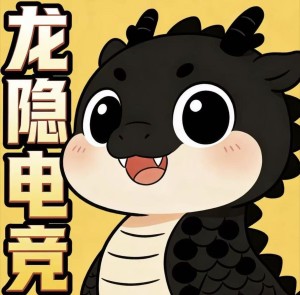 龙隐电竞
